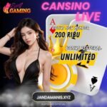 Perbedaan Slot Resmi dan Slot Tidak Resmi: Apa yang Harus Anda Ketahui?